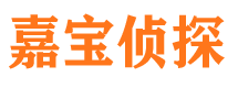 迎江市侦探公司